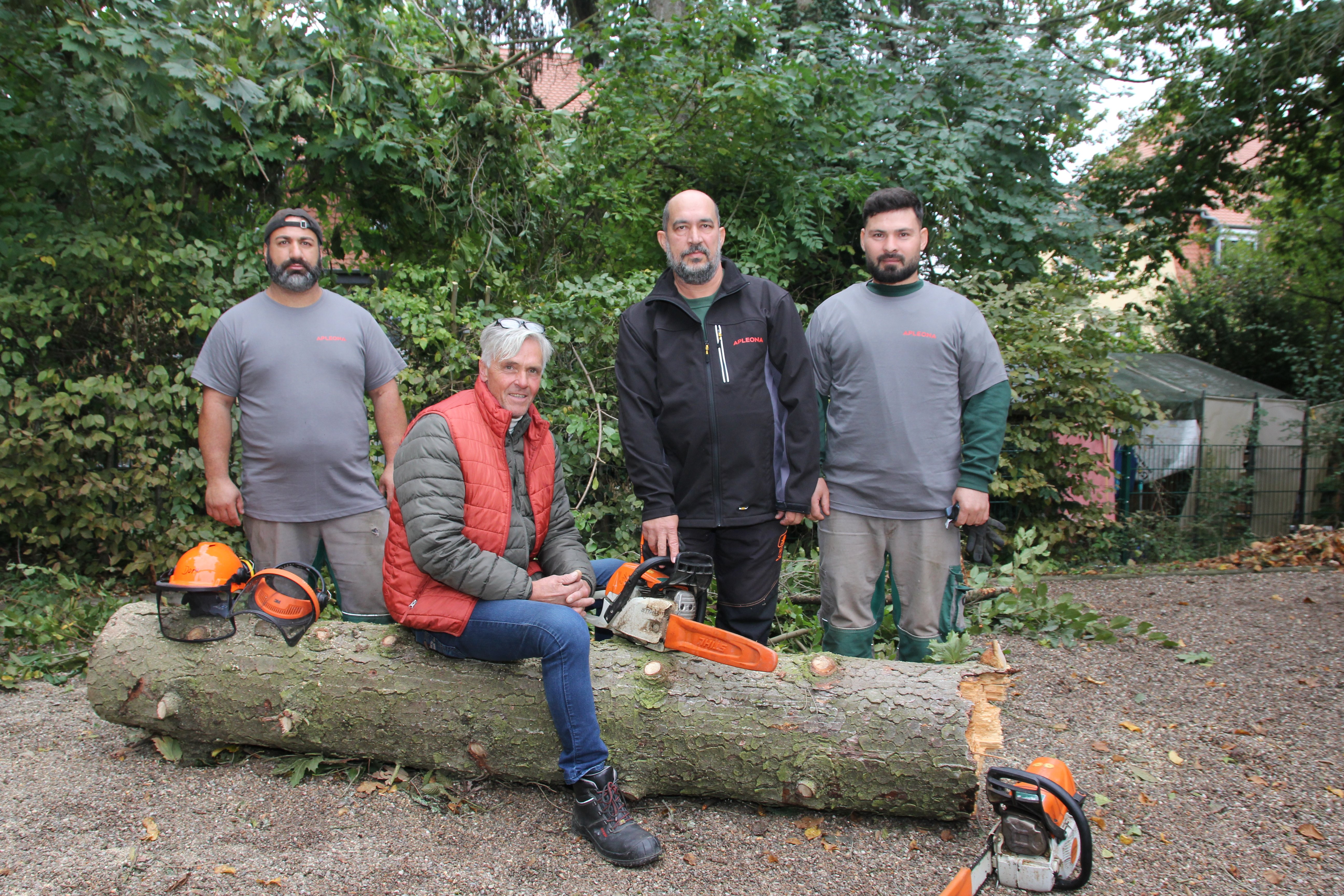 Personen stehen vor einem gefällten Baum