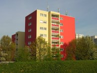 Hochhaus gerahmt durch Bäumen